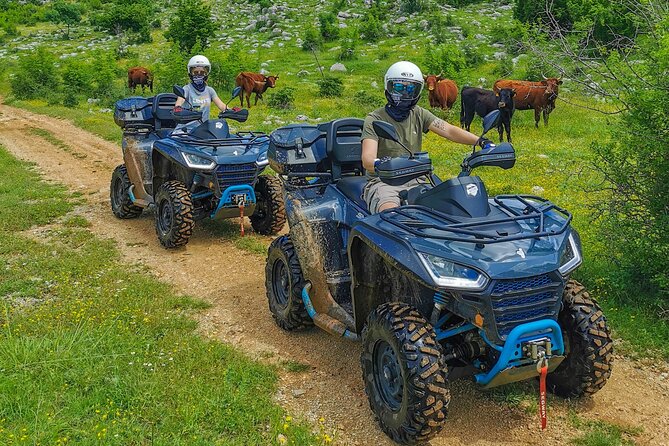 Half Day ATV Tour From Split with Picnic & River swimming - The Ride Itself: Rocky Paths, Grass Fields, and Mountain Trail Variety