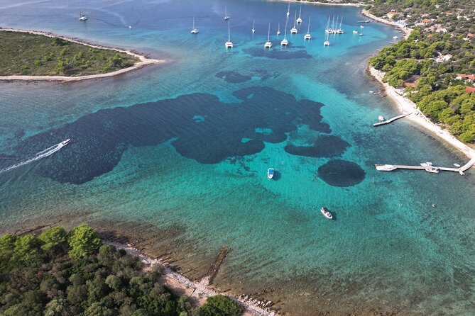 Half-Day Private Blue Lagoon Island Tour in Croatia - Price and value: $900.18 per group up to 12