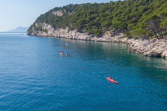Half-Day Small-Group Kayaking Tour in Makarska - Price, Timing, and Weather Reality in Makarska