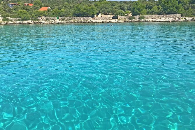 Half Day Speedboat Tour to Three Islands from Trogir - Price and value: is about $72.59 per person a fair deal?