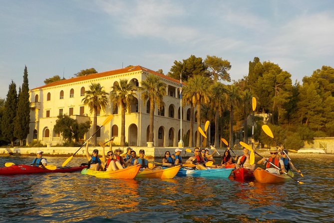 Half-Day Split Sea Kayak Adventure - Morning or afternoon sunset: how to pick the right session for your style