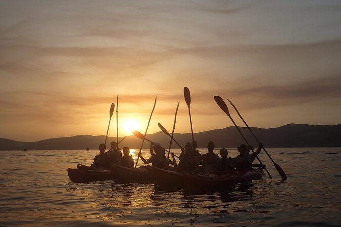 Half-Day Split Sea Kayak Adventure - Who this tour suits best in real life