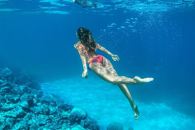 HVAR & 4 Islands PRIVATE BOAT TOUR - Pakleni Islands: 14 islands, pine forests, and Palmižana Bay