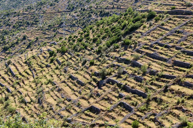 Hvar Hidden Gems Small Group Half Day Tour with Lunch or Dinner - Key Highlights You Should Expect