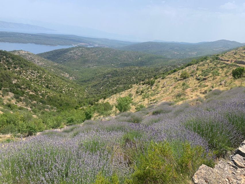 Hvar Hidden Gems Tour with Lunch or Dinner - Velo Grablje and Malo Grablje, Stone Courtyards and an Abandoned Village