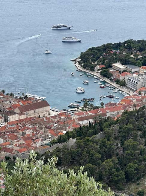 Hvar: Hvar Wine Tasting Experience - Who should book this Hvar wine and olive oil tour