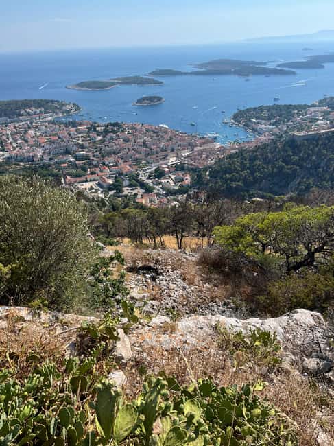 Hvar: Hvar Wine Tasting Experience - From Hvar town toward Jelsa or Vrboska, with lavender and village life