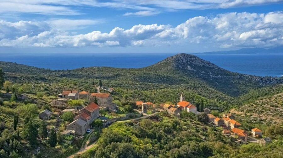 Hvar: Island tour with Wine and Olive Oil Tasting - Old road through villages and lavender fields: where the island gets personal