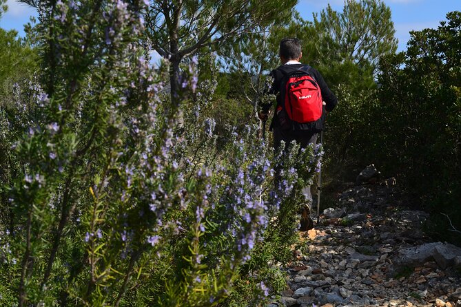 Hvar Lavender Tour - Key Points to Know Before You Go