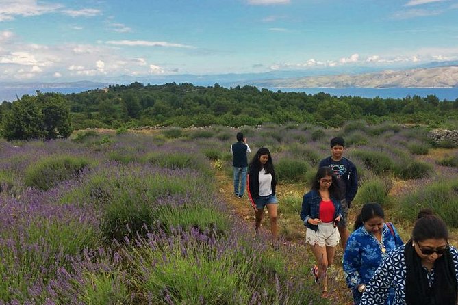 Hvar Lavender Tour - Malo Grablje: A Preserved Village Feeling Like Time Paused