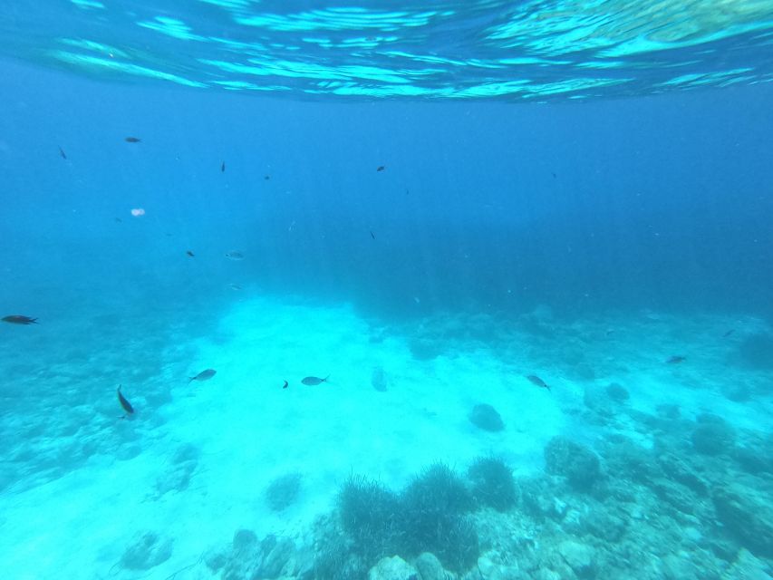 Hvar: Private Sailing Boat Trip with Swimming and Snorkeling - What to Bring (Because Towels Are Not Included)