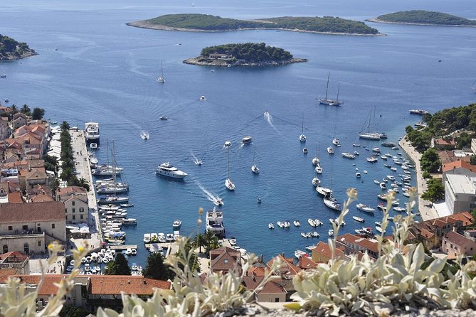 Hvar Private Walking Tour With A Professional Guide - Price and logistics: what you really get for $254.43 per group