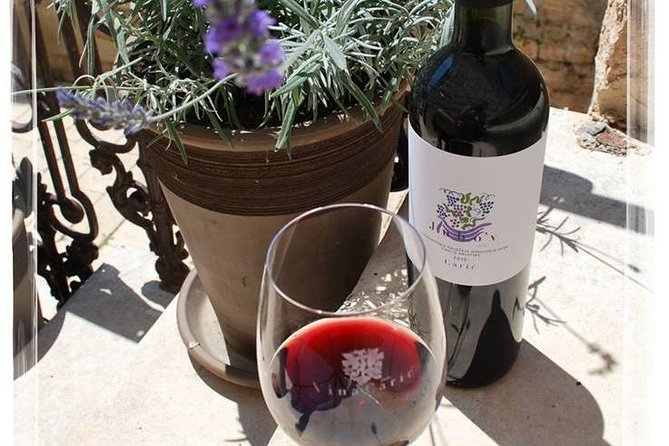 Hvar Small Group Wine Tour and Authentic Dalmatian Dinner - Who this tour fits best, and who should skip it