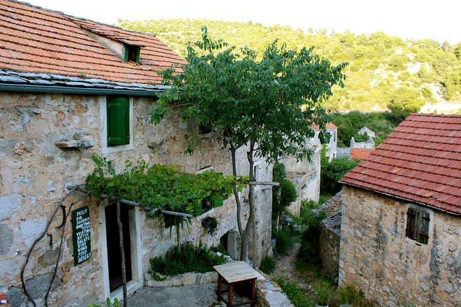 Hvar Small Group Wine Tour and Authentic Dalmatian Dinner - Should you book this Hvar wine tour?