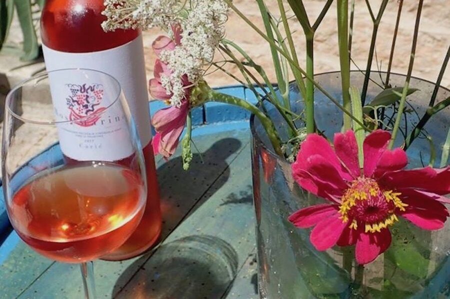 Hvar: Wine Lovers Tour to 3 Wineries with Local Tastings - Vrban and Vrboska Options: Plančić Since 1919, Carić in Vinogorje Hvar