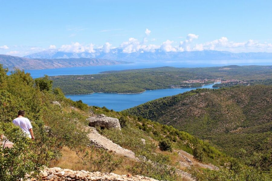 Hvar Wine Tour + Dalmatian Dinner - The Dalmatian Dinner in a Village: What You’ll Actually Eat