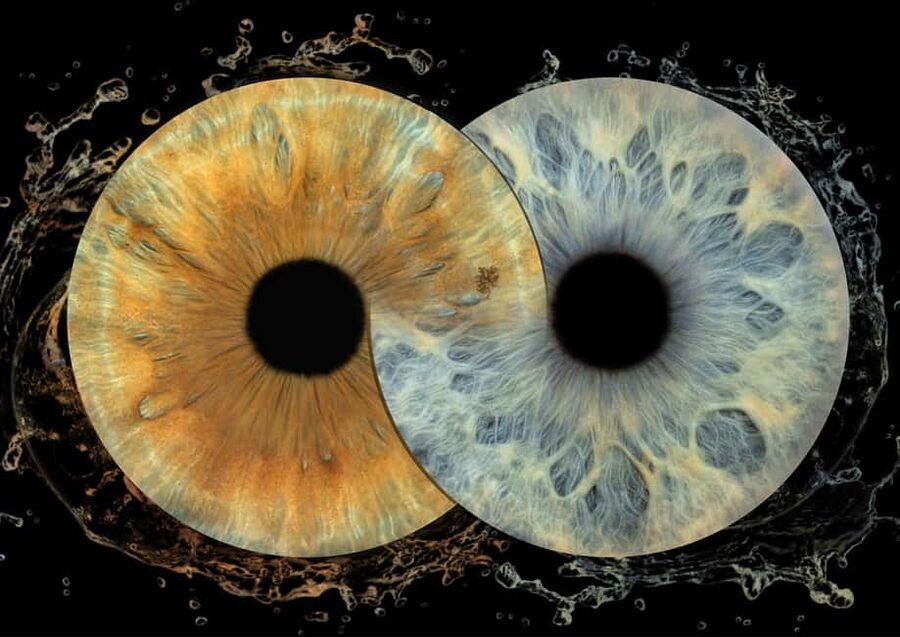 IRIS Photography (macro photo of your eye) - Why every iris is different (and why that matters for a souvenir)