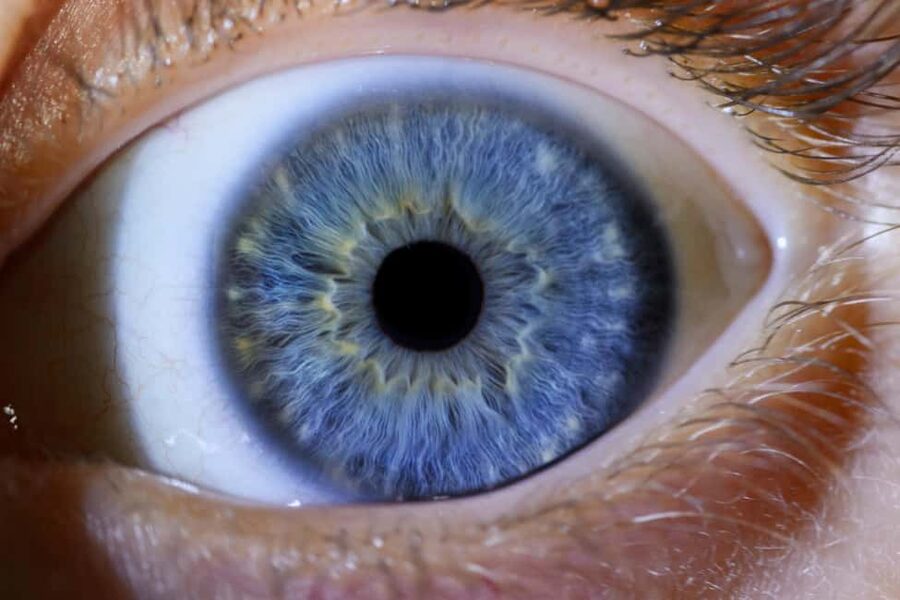 IRIS Photography (macro photo of your eye) - Who this is best for (and who might not enjoy it)
