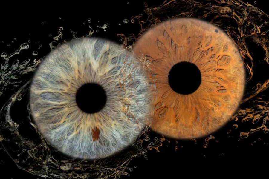 IRIS Photography (macro photo of your eye) - The 10-minute session: how your iris macro photo experience plays out