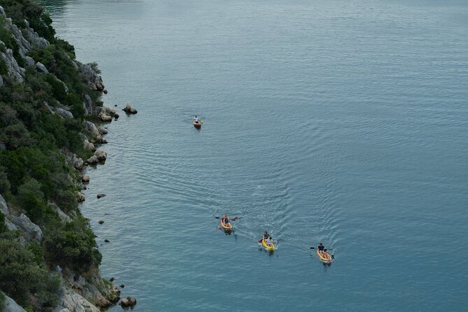 Kayaking and mussels tasting at Krka River estuary-private tours - Shell farm visit and mussel tasting on the raft