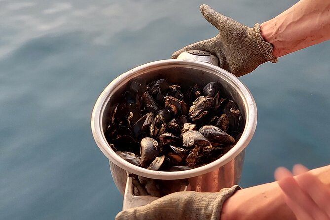 Kayaking and mussels tasting at Krka River estuary-private tours - Price and value: is $84.21 per person worth it?