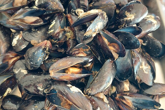 Kayaking and mussels tasting at Krka River estuary-private tours - What to bring (and what the tour leaves out)