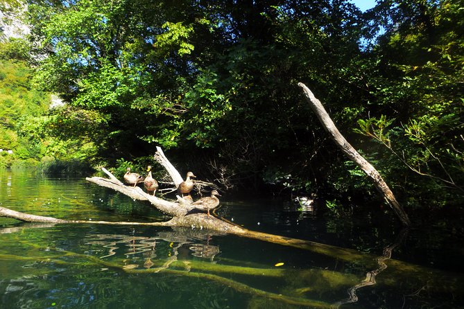 Kayaking and Snorkeling in Omiš - Key moments that make this Omis kayaking and snorkel tour worth it