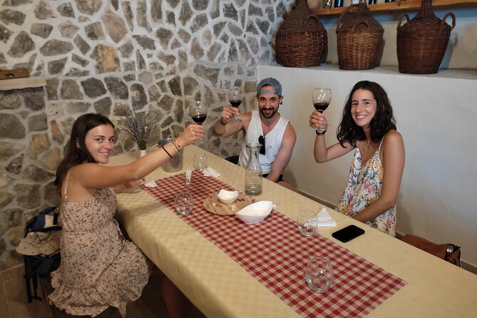 Krka National Park Tour with tour Guide & Wine tasting from Split & Trogir - Price and what you will pay at the park