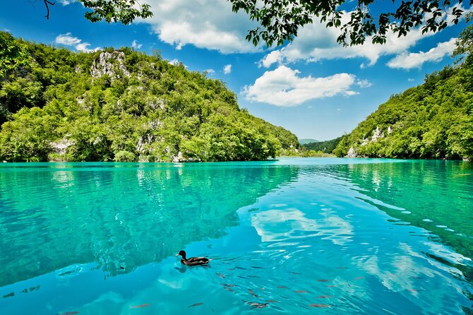 Krka Waterfall with Boat Rides to Skradin from Split or Trogir - Price and value: what you pay, and what you still owe for Krka entry