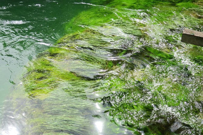 Krka waterfalls luxury tour for singles or couples - Price and value: is $199.53 per person a smart deal?