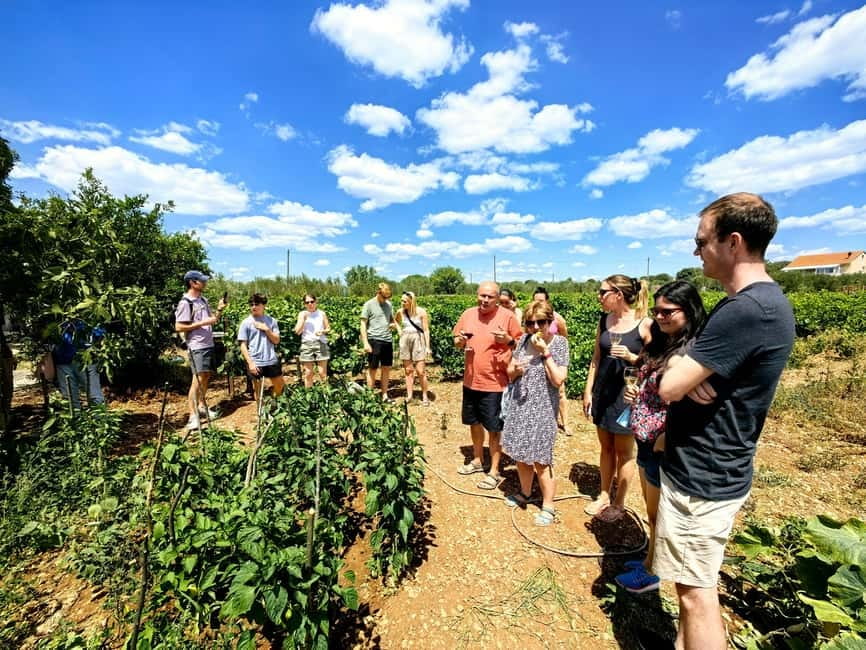 Krka waterfalls tour with lunch from Split - Farm-to-table lunch and wine: the best reason to book this format