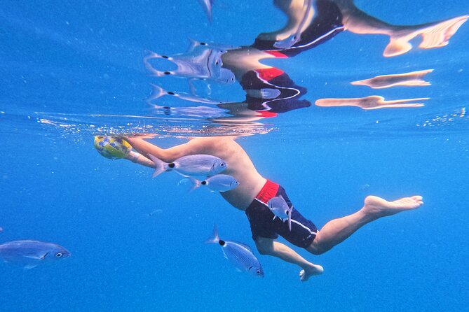 Makarska: 3-Island Speedboat Tour with Cave and Blue Lagoon - Pokrivenik and the Blue Cave Swim on Hvar