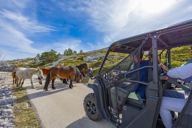 Makarska: Baggy Skywalk & Biokovo viewpoint Tour - Biokovo Skywalk in one half-day: why this plan works