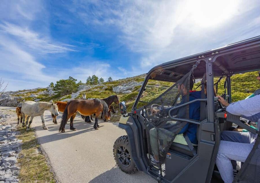 Makarska: Buggy Skywalk and Biokovo Tour - The $81 value: what’s included, and what you’re really paying for