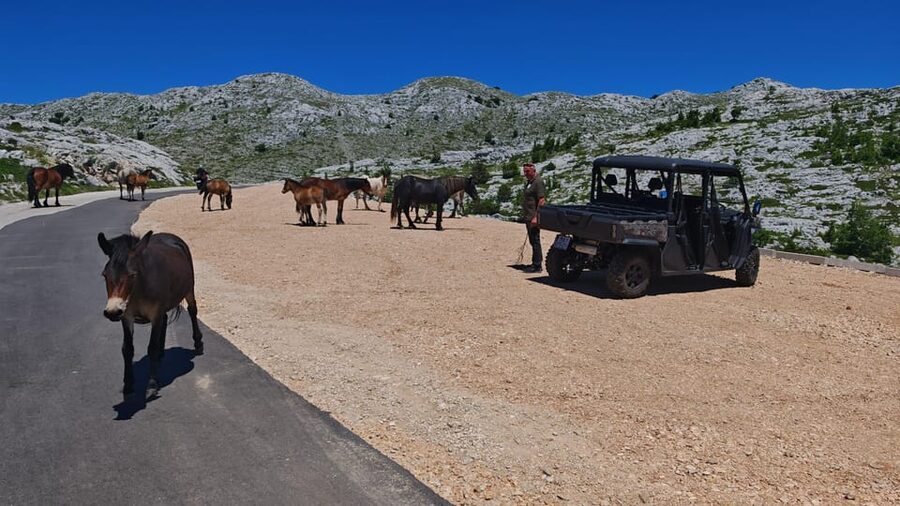 Makarska: Buggy Skywalk and Biokovo Tour - Who should book this tour, and who might skip it