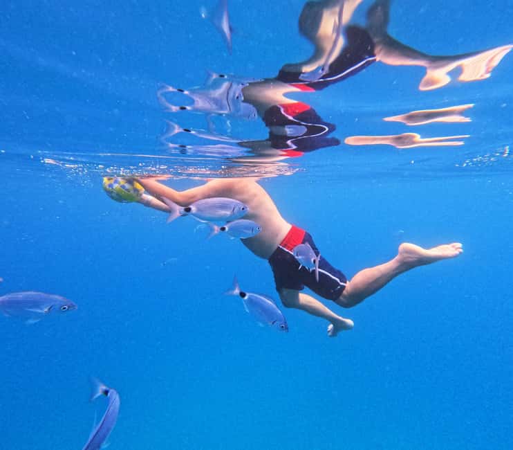 Makarska: Golden Horn Beach & Secluded Bays Speedboat Tour - Selca snorkeling stop (7RFR+4F): the quieter bay angle
