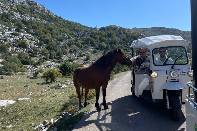 Makarska: Skywalk Tour with a Tuk Tuk - Skip the line ticket - Guides, Comfort, and the Small-Group Feel