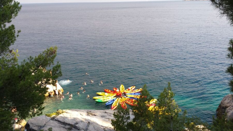 Morning Split Sea Kayaking Tour - Key Points You Should Know