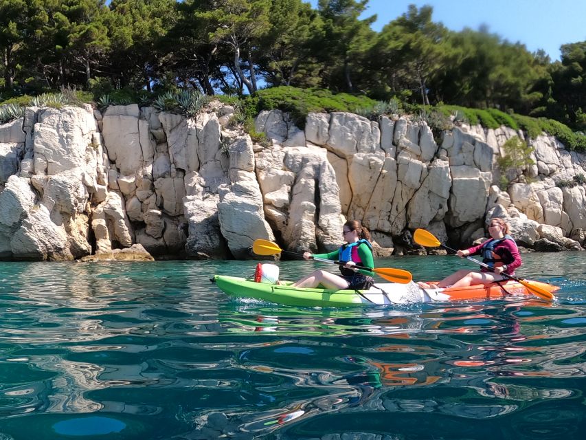 Morning Split Sea Kayaking Tour - Kayak Setup, Comfort, and Gear: What You Get, What You Should Bring