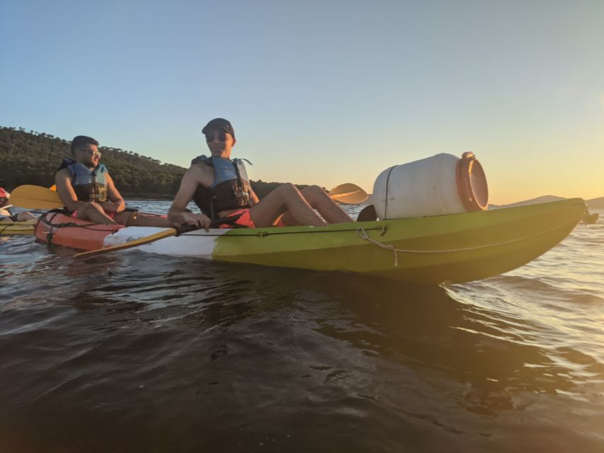Morning Split Sea Kayaking Tour - Safety and Who Should Skip This Kayaking Day