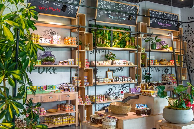 Olive museum Klis with educational olive oil tasting - Essential oils distillery: why it matters beyond scent