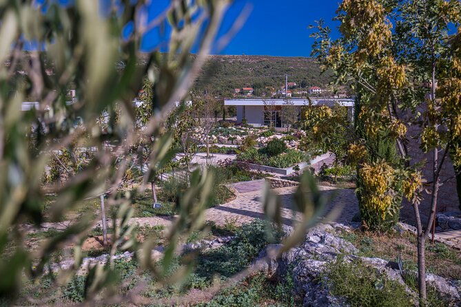 Olive museum Klis with educational olive oil tasting - Botanical gardens stroll: the calm reset in between tastings