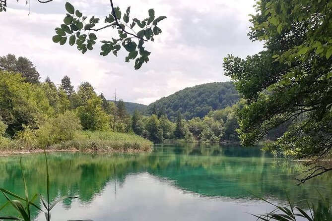 Plitvice Lakes Small Group Tour Ecco from Split or Trogir - The guides and drivers: what the experience tends to feel like in practice