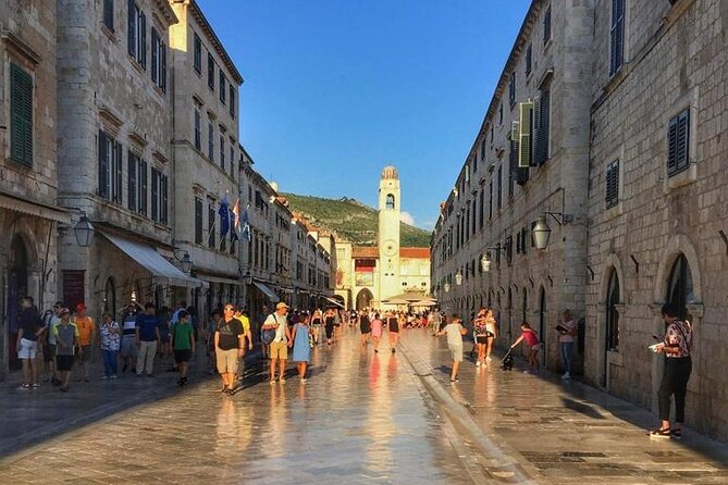 Private Full-day Dubrovnik and Ston Tour from Split - From Split to Ston: the premium van part you will actually appreciate