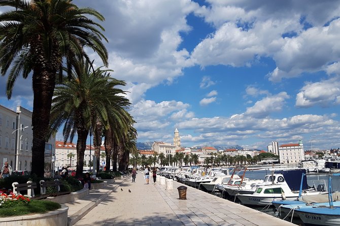 Private Full-day Dubrovnik and Ston Tour from Split - Saint Blaise and Rector’s Palace: small stops with real meaning