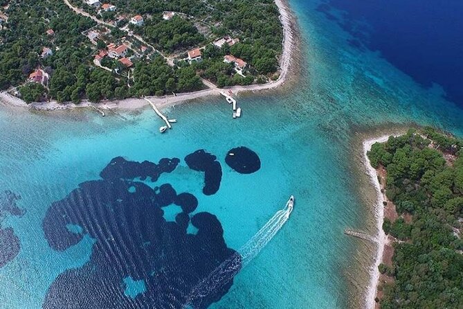 Private Half day Blue Lagoon Tour - Stop 2: Krknjasi Bay Blue Lagoon swim and snorkel time