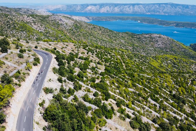 Private Hvar Island Bike Tour and Wine Tasting - Lacman Family Winery: natural wines with a view