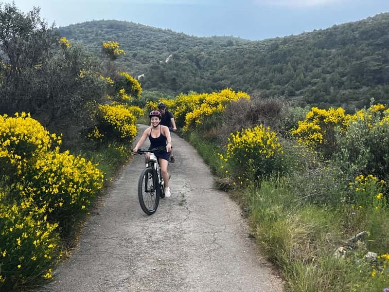 Private Hvar Island E-Bike Tour - Price and value: what $66 really buys you here