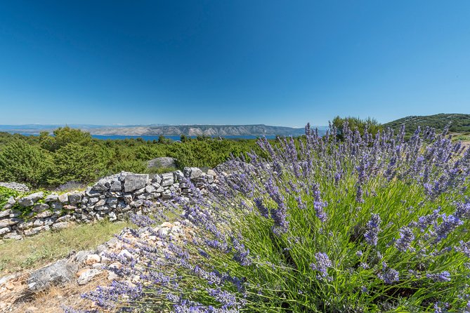 Private Hvar Island Tour and Olive Oil Tasting - Entering Hvar by pickup and the old-road rhythm
