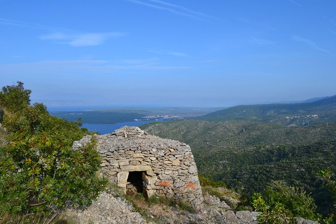 Private Hvar Island Tour and Olive Oil Tasting - Svirče olive oil tasting: single and multi-blend